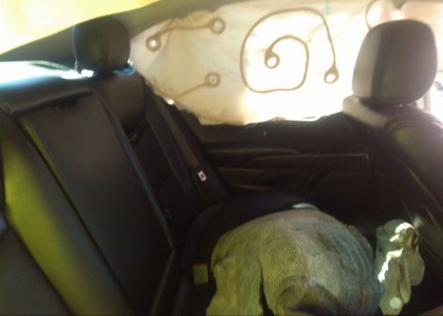 2019 CADILLAC XTS VIN: 2G61M5S35K9153711