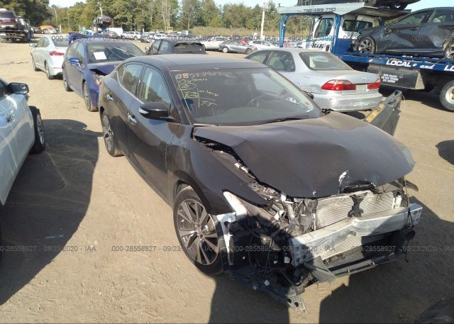1N4AA6AP4HC437869 2017 NISSAN MAXIMA