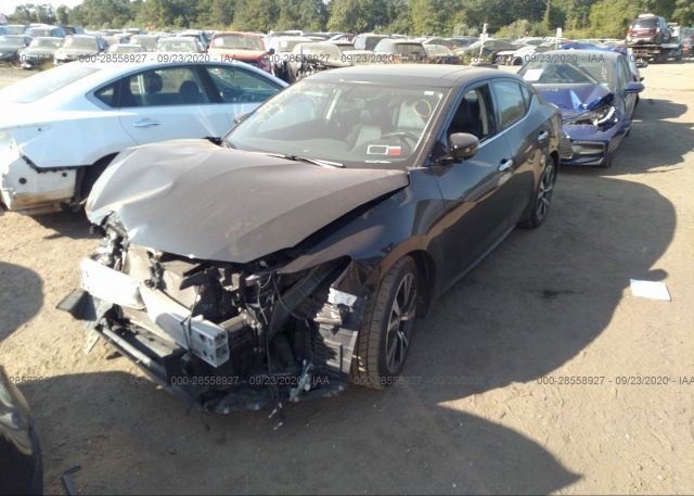 из сша 2017 NISSAN MAXIMA 1N4AA6AP4HC437869
