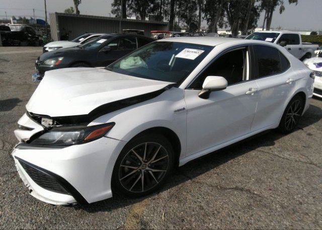 2021 TOYOTA CAMRY(VIN: 4T1G31AK4MU556494