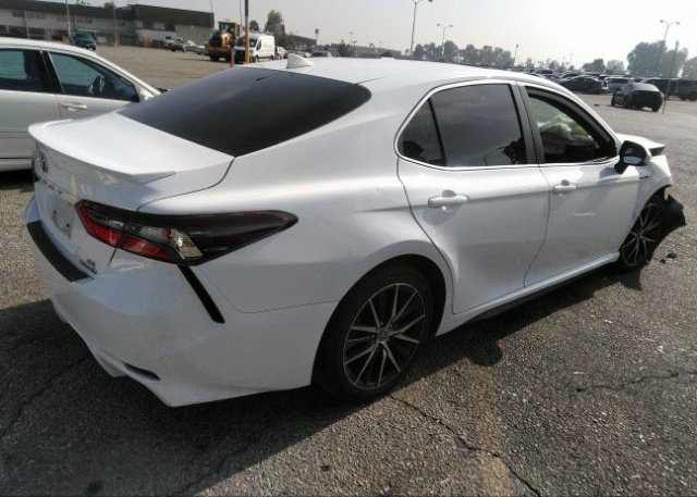2021 TOYOTA CAMRY(VIN: 4T1G31AK4MU556494