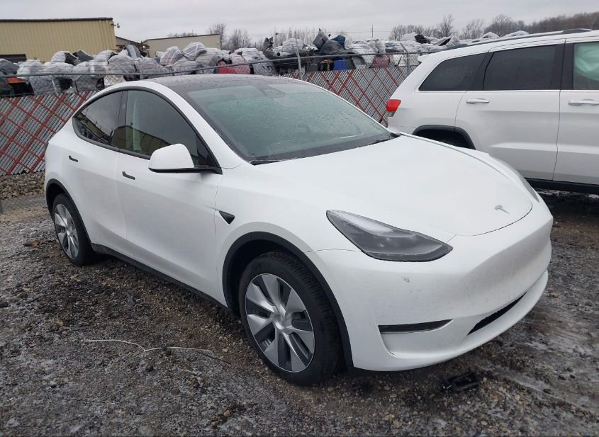 Sold 2024 TESLA MODEL Y Long range dual motor all-wheel drive in ...