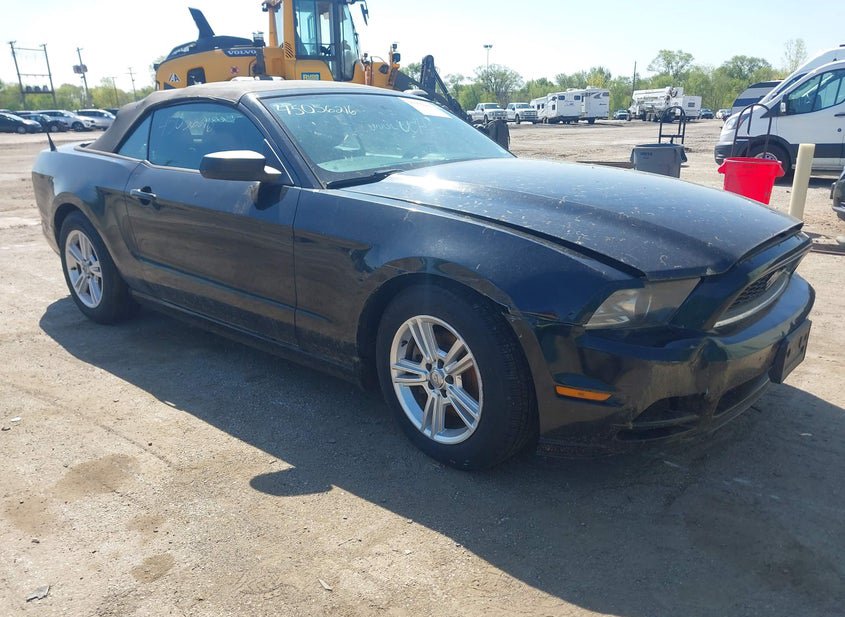 2013 Ford Mustang 3.7L photo