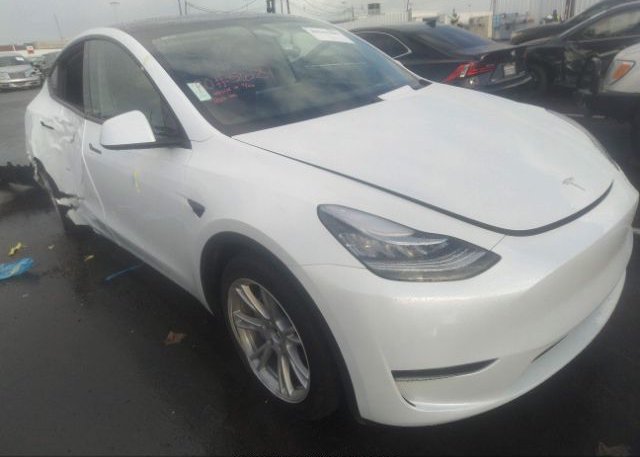 2023 TESLA MODEL Y (VIN: 7SAYGDEE8PA038646)