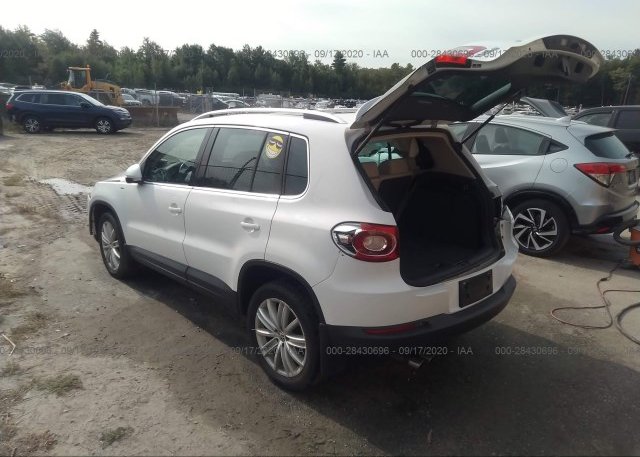 купить 2010 VOLKSWAGEN TIGUAN WVGBV7AX3AW534280