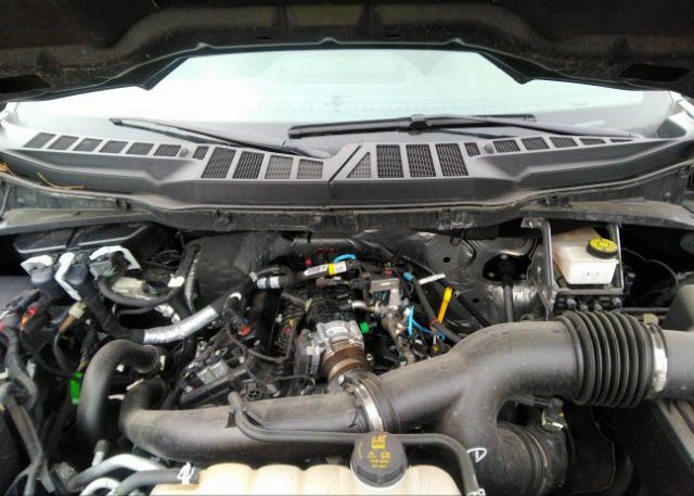 2021 FORD F-150(VIN: 1FTEW1EP9MFC78656