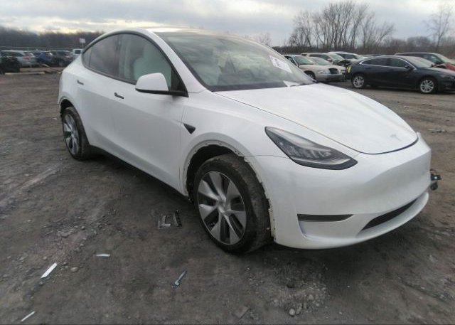 2021 TESLA MODEL Y (VIN: 5YJYGDEE9MF087933)