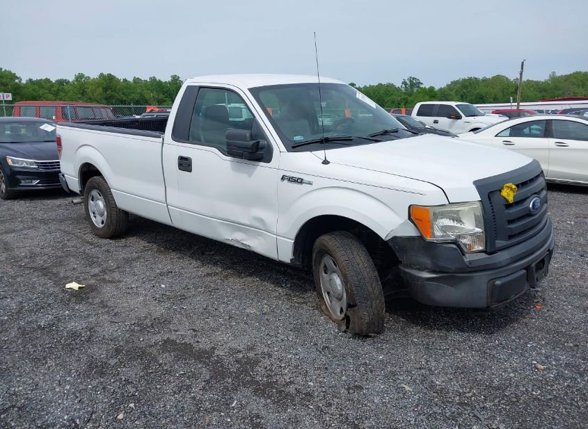 2009 FORD F-150 STX/XL/XLT photo