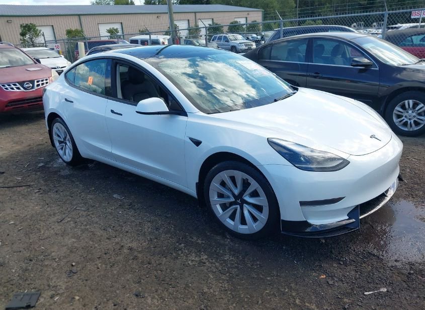 2023 TESLA MODEL 3 REAR-WHEEL DRIVE photo