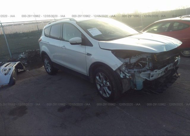 1FMCU0JX2EUE24255 2014 FORD ESCAPE