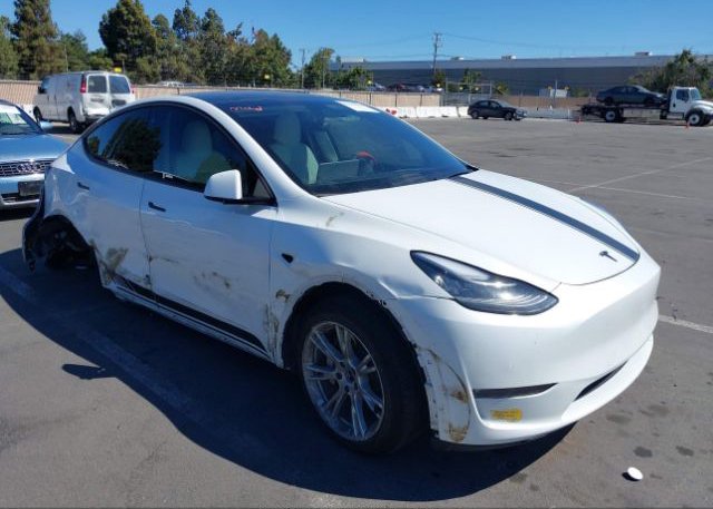 2022 TESLA MODEL Y (VIN: 7SAYGDEE8NF353799)