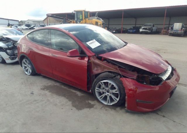2022 TESLA MODEL Y (VIN: 7SAYGAEE1NF338091)
