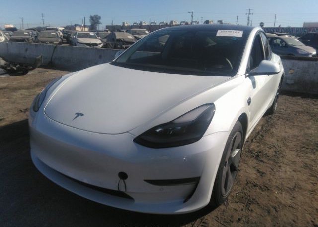 2021 TESLA MODEL 3(VIN: 5YJ3E1EBXMF036381
