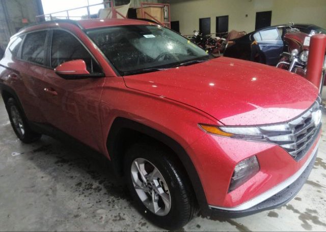 2023 HYUNDAI TUCSON (VIN: 5NMJBCAE0PH258006)