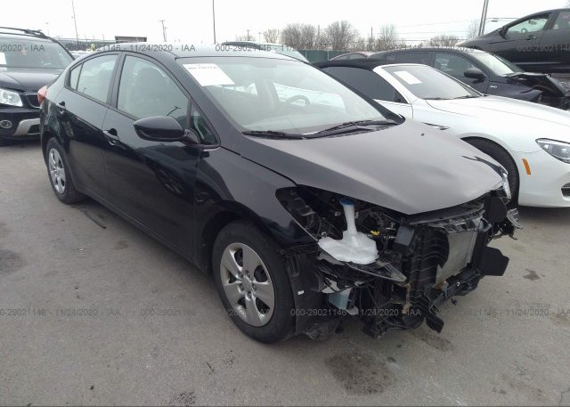 KNAFK4A64G5609360 2016 KIA FORTE