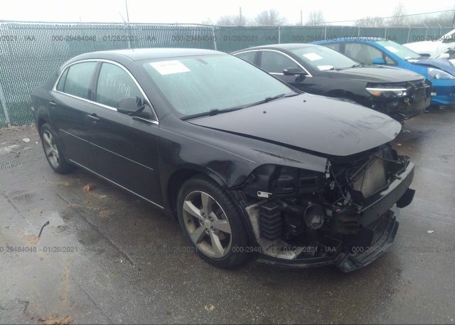 1G1ZC5E1XBF310288 2011 CHEVROLET MALIBU