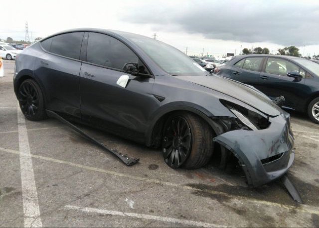 2023 TESLA MODEL Y (VIN: 7SAYGDEF3PF696919)