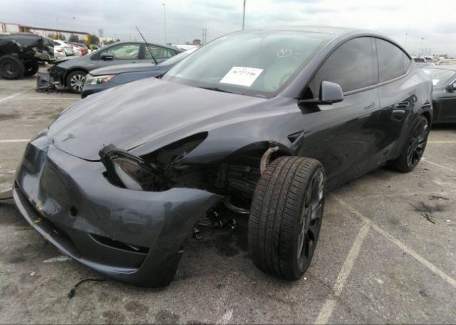 2023 TESLA MODEL Y(VIN: 7SAYGDEF3PF696919