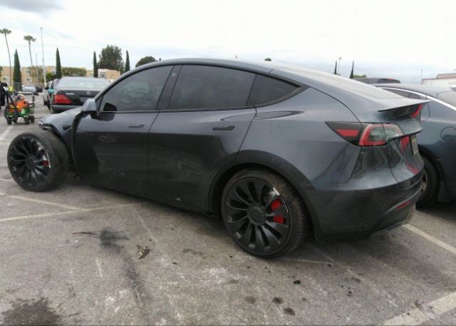 2023 TESLA MODEL Y(VIN: 7SAYGDEF3PF696919