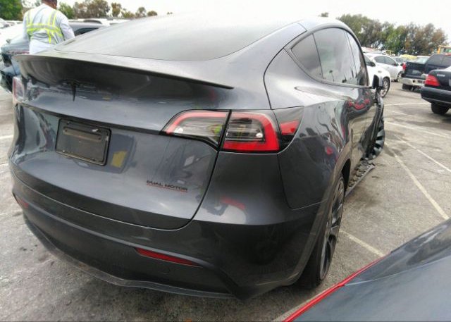 2023 TESLA MODEL Y(VIN: 7SAYGDEF3PF696919