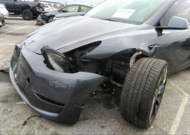 2023 TESLA MODEL Y(VIN: 7SAYGDEF3PF696919