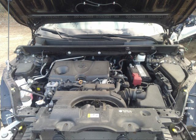 2T3J1RFV8KW021119 2019 TOYOTA RAV4