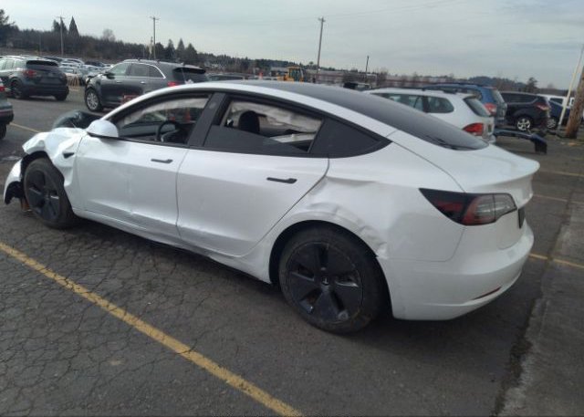 2022 TESLA MODEL 3(VIN: 5YJ3E1EB8NF350631
