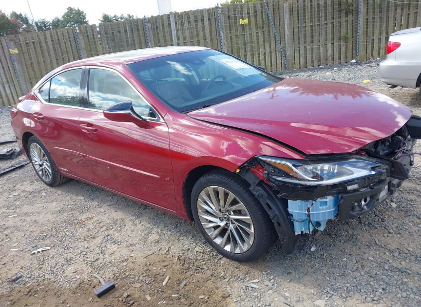 2020 LEXUS ES 300H LUXURY photo