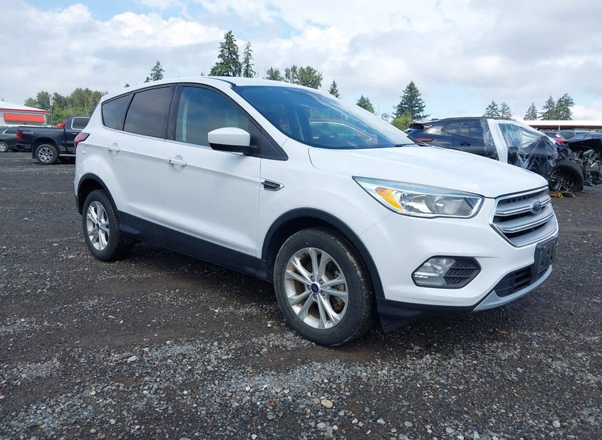 2019 Ford Escape 1.5L photo