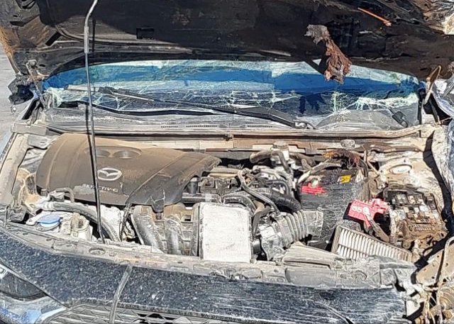 2021 MAZDA MAZDA3 SEDAN(VIN: JM1BPABL1M1324429