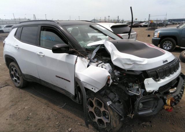 2022 JEEP COMPASS (VIN: 3C4NJDDB6NT230786)