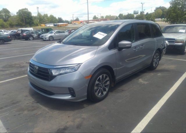 2023 HONDA ODYSSEY(VIN: 5FNRL6H69PB031527