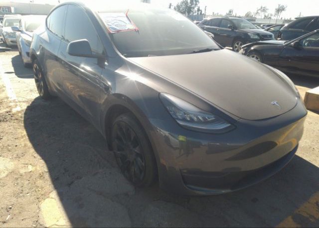 2021 TESLA MODEL Y (VIN: 5YJYGDEE2MF278206)