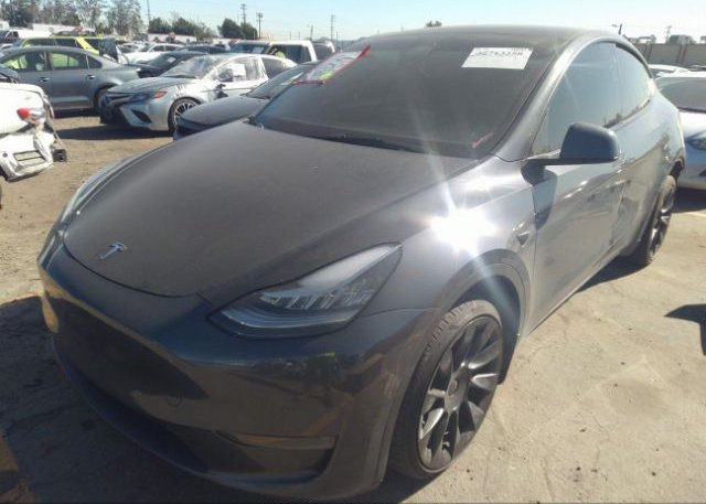 2021 TESLA MODEL Y(VIN: 5YJYGDEE2MF278206
