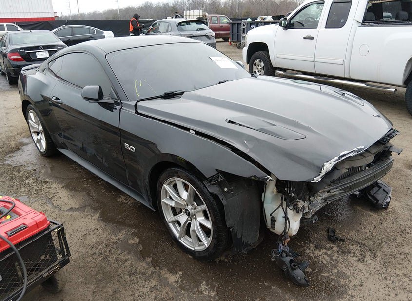 2015 Ford Mustang 5.0L photo