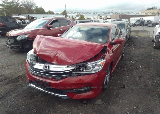 1HGCR2F55HA147343 2017 HONDA ACCORD SEDAN