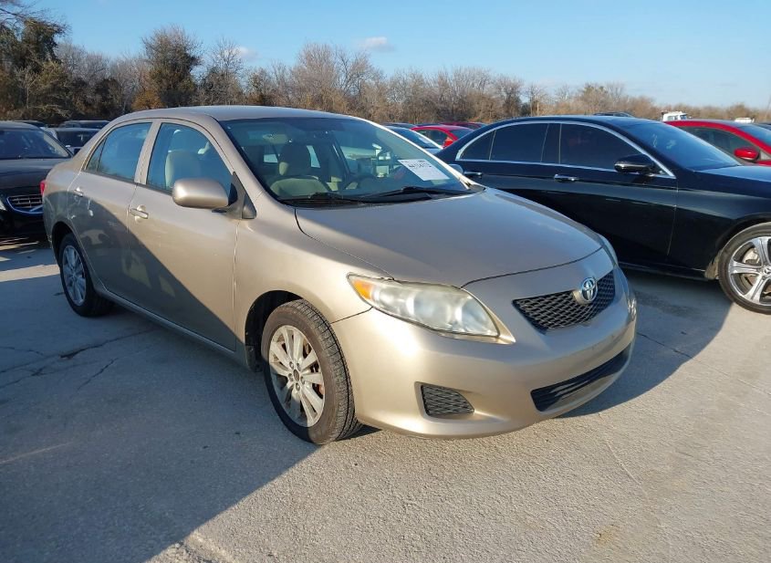 2009 TOYOTA COROLLA LE photo