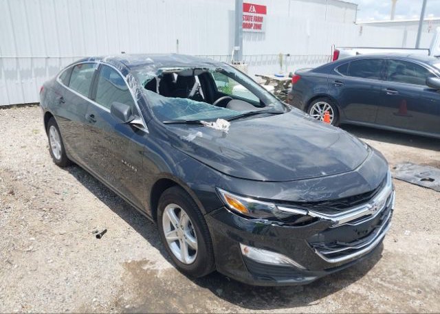 2023 CHEVROLET MALIBU (VIN: 1G1ZC5ST5PF156523)