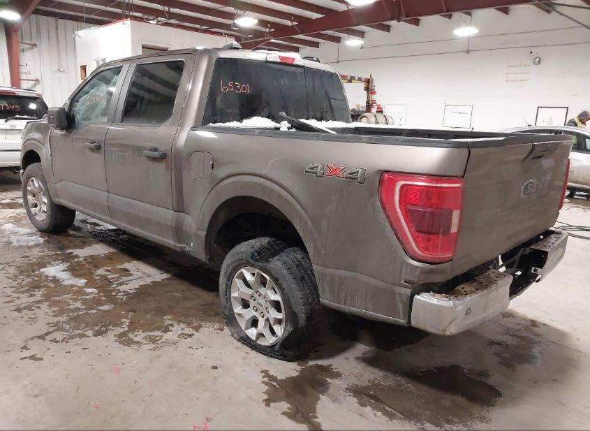 2023 FORD F-150 XLT(VIN: 1FTFW1E51PFC34285