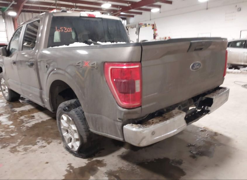 2023 FORD F-150 XLT(VIN: 1FTFW1E51PFC34285