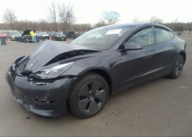 2023 TESLA MODEL 3(VIN: 5YJ3E1EA5PF481817