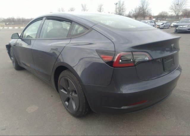 2023 TESLA MODEL 3(VIN: 5YJ3E1EA5PF481817
