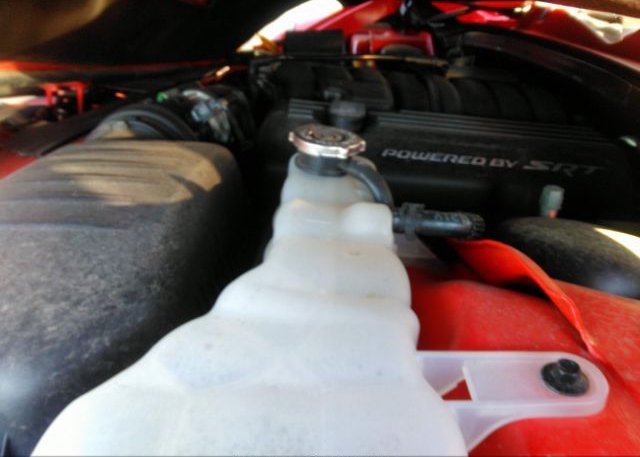 2021 DODGE CHARGER(VIN: 2C3CDXGJ0MH650462