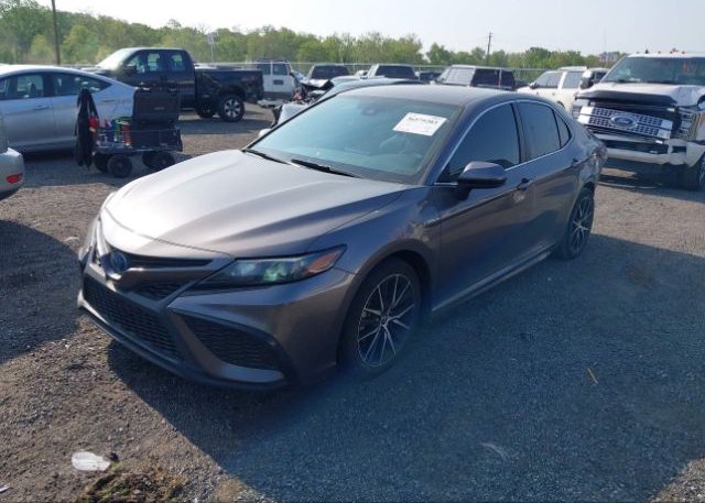 2021 TOYOTA CAMRY(VIN: 4T1G31AK8MU569801