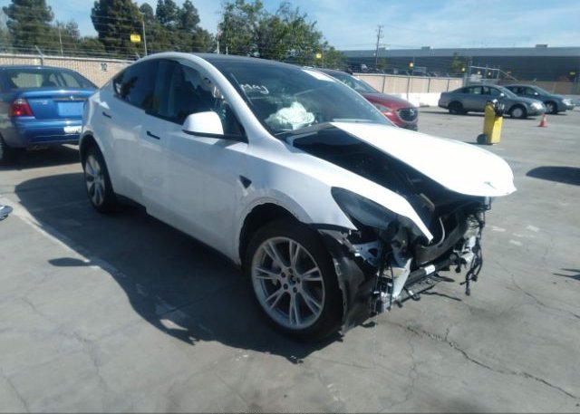 2023 TESLA MODEL Y(VIN: 7SAYGDEE2PF617456