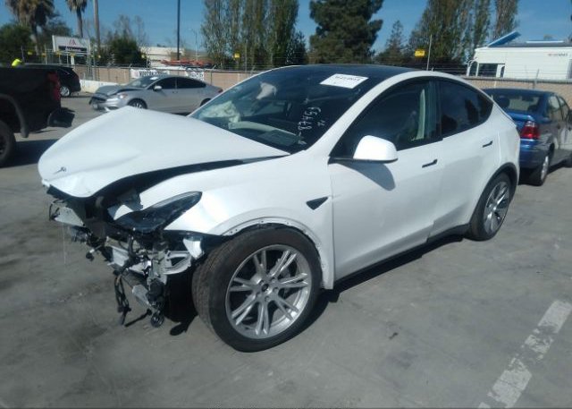 2023 TESLA MODEL Y(VIN: 7SAYGDEE2PF617456