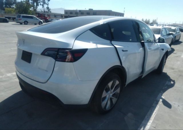 2023 TESLA MODEL Y(VIN: 7SAYGDEE2PF617456