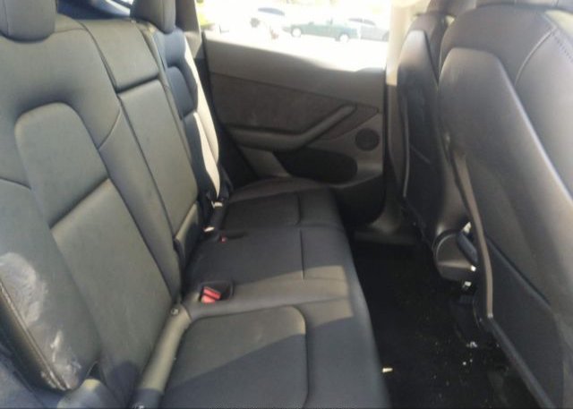 2023 TESLA MODEL Y(VIN: 7SAYGDEE2PF617456