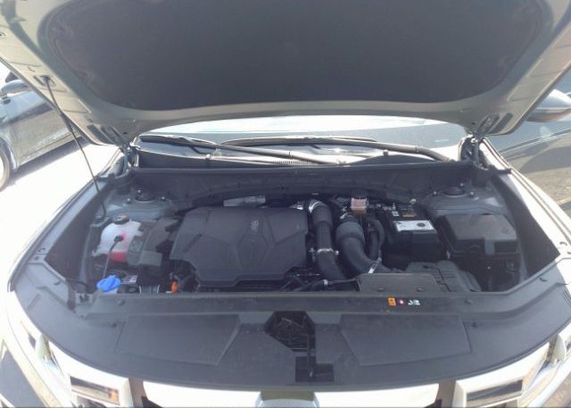 2022 HYUNDAI SANTA CRUZ(VIN: 5NTJDDAF8NH034900