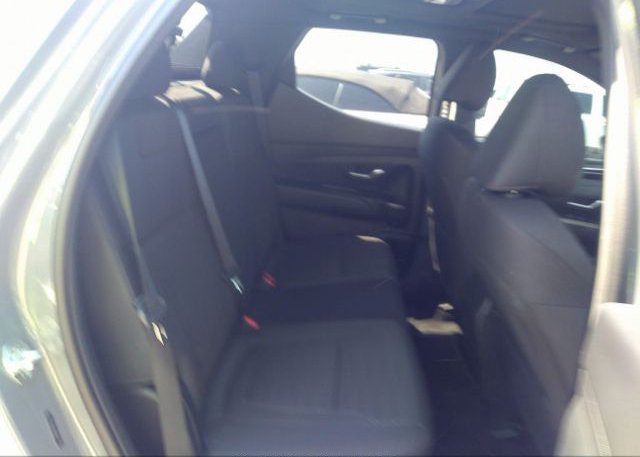2022 HYUNDAI SANTA CRUZ(VIN: 5NTJDDAF8NH034900